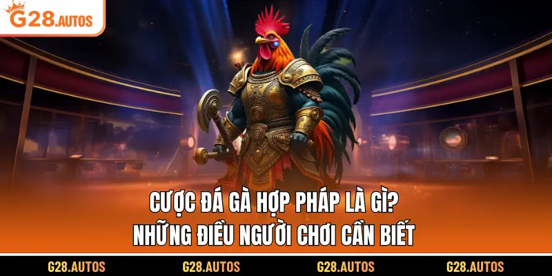 Cược Đá Gà Hợp Pháp